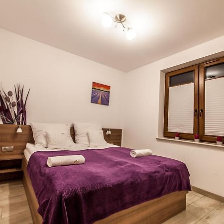 Przy Grajcarku - Apartamenty Homole Szlachtowa Extérieur photo